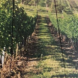 Meet your Posher, Elena